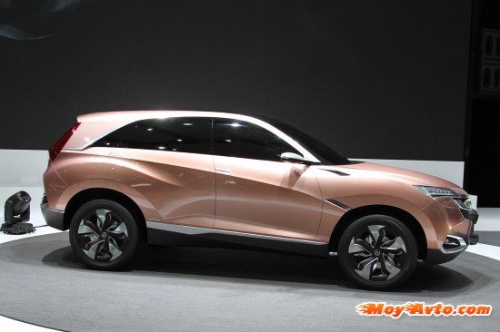 ���������� ������������ 2013: ����������� �������������� �������