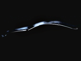 Aston Martin готовит к премьере загадочное купе Aston Martin готовит к премьере загадочное купе
